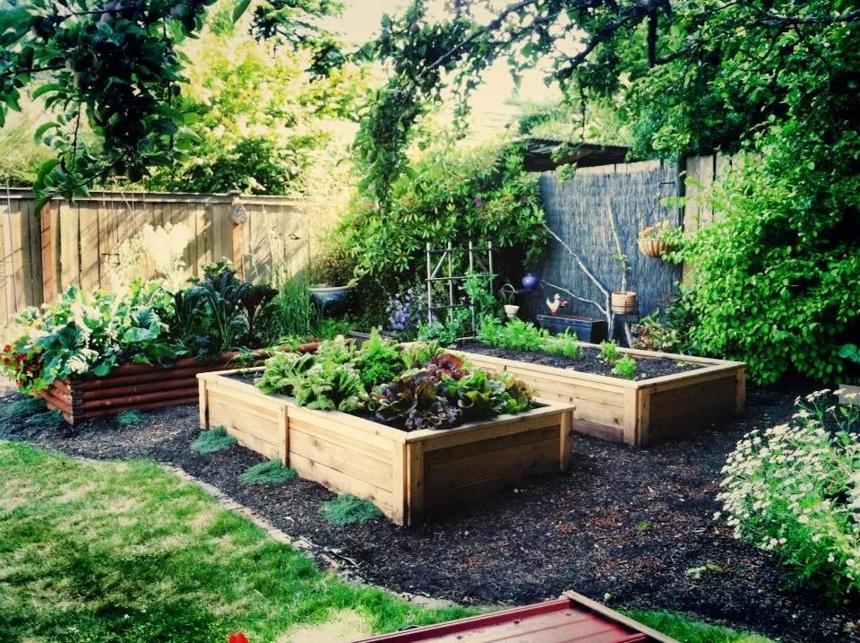 Custom landscape installation in Seattle, WA - Contemporary Homestead