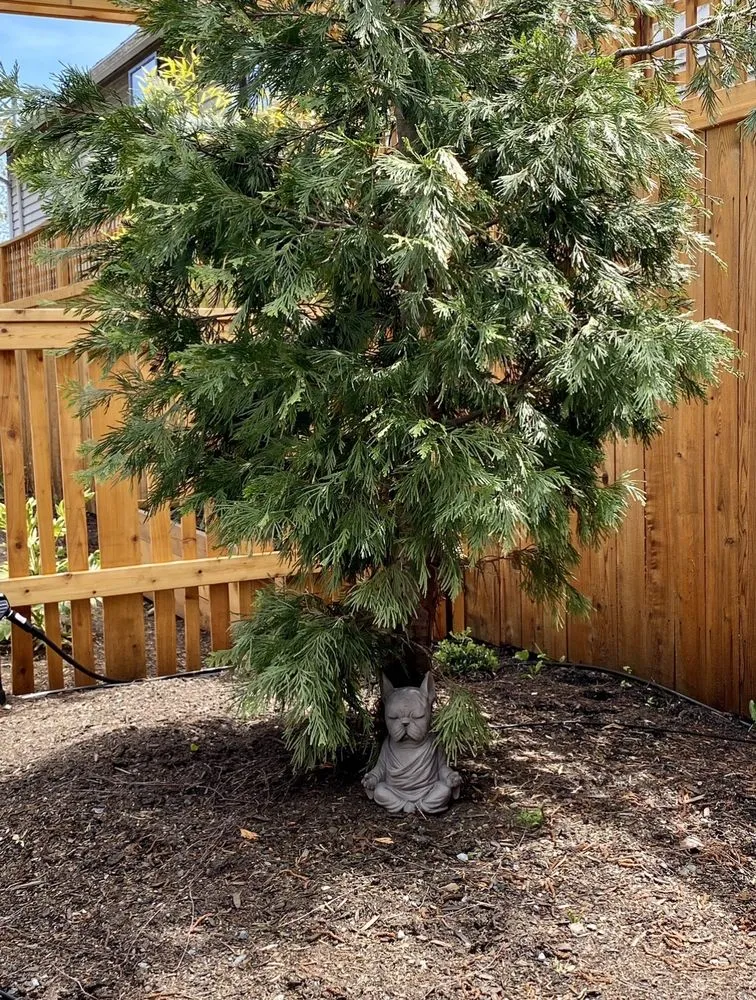 Reliable garden landscaping for beautiful yards across Seattle, WA - Contemporary Homestead