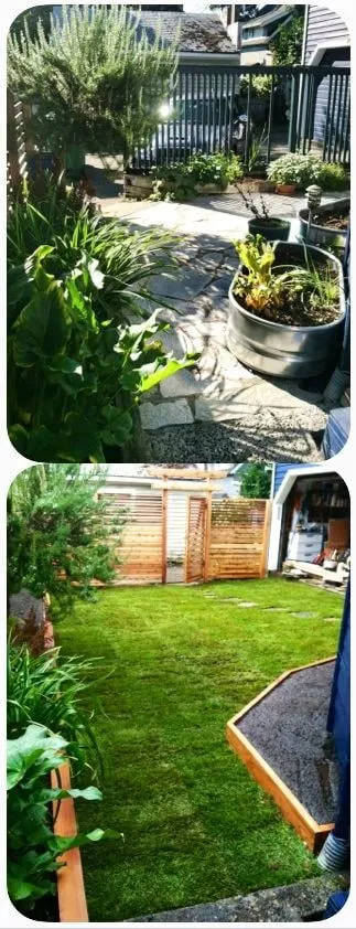 Professional garden landscaping in Seattle, WA by Contemporary Homestead