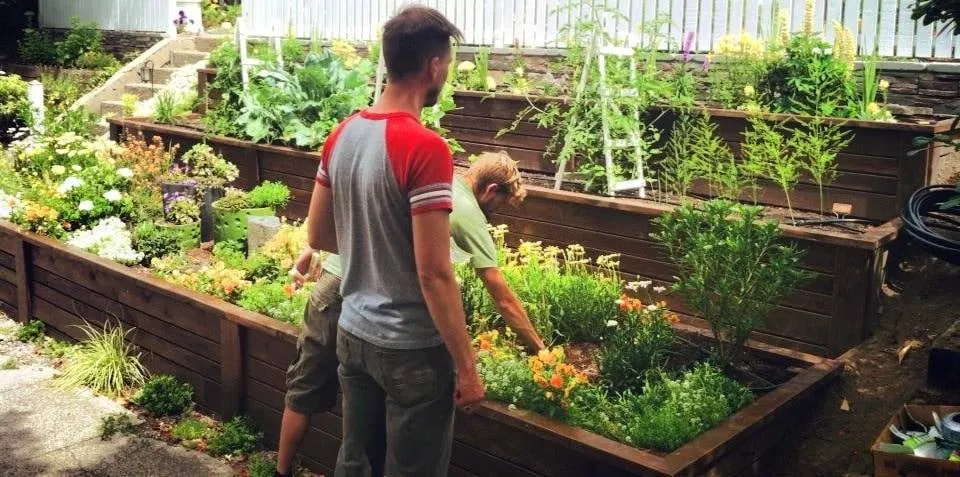 Professional landscape installation in Seattle, WA by Contemporary Homestead