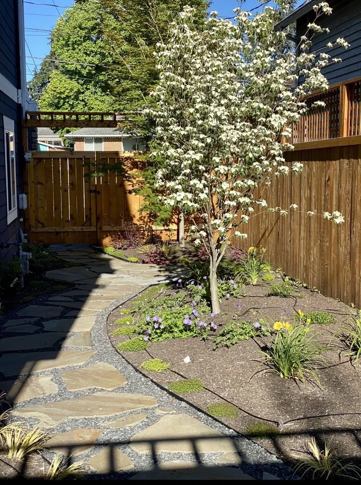 Affordable yard cleanup service with custom design in Seattle, WA by Contemporary Homestead
