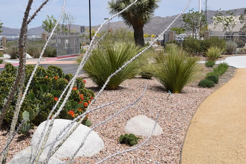 Professional landscape installation for homes across Apple Valley, CA - Contemporary Landscape & Maintenance