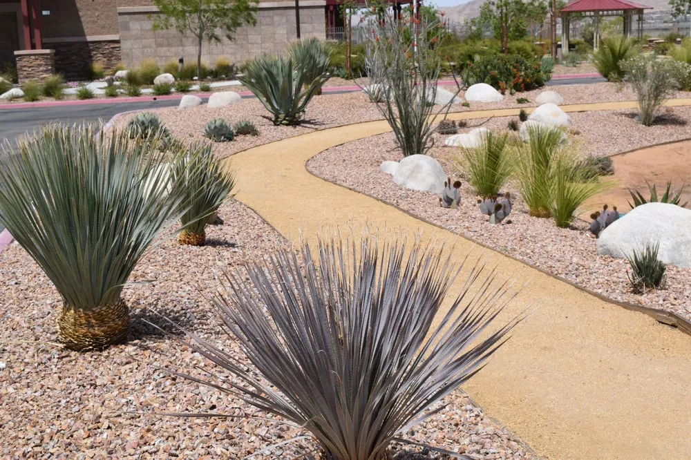 Local yard maintenance in Apple Valley, CA - Contemporary Landscape & Maintenance