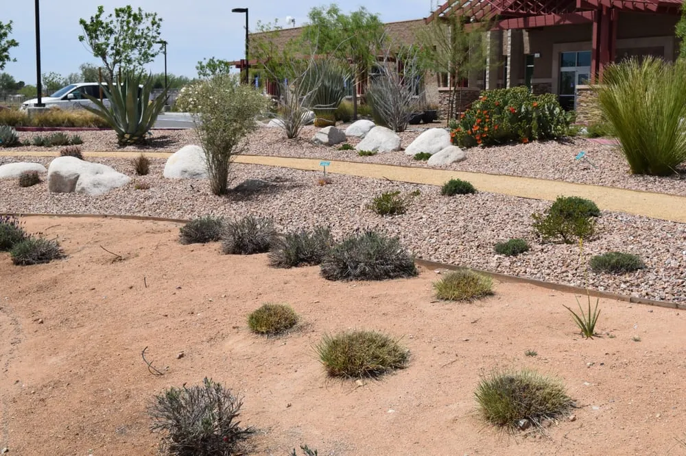 Reliable landscape installation for year-round maintenance in Apple Valley, CA by Contemporary Landscape & Maintenance