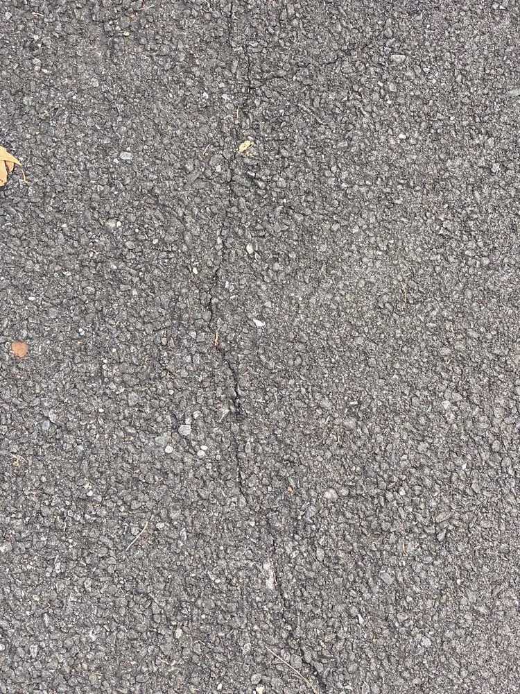 Professional yard cleanup service for homes across Northport, NY - Contemporary Stonescapes