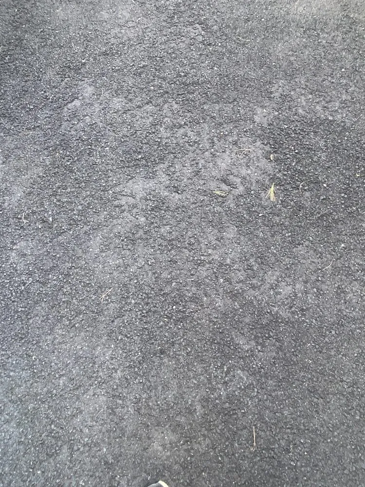 Custom yard cleanup service experts serving Northport, NY - Contemporary Stonescapes