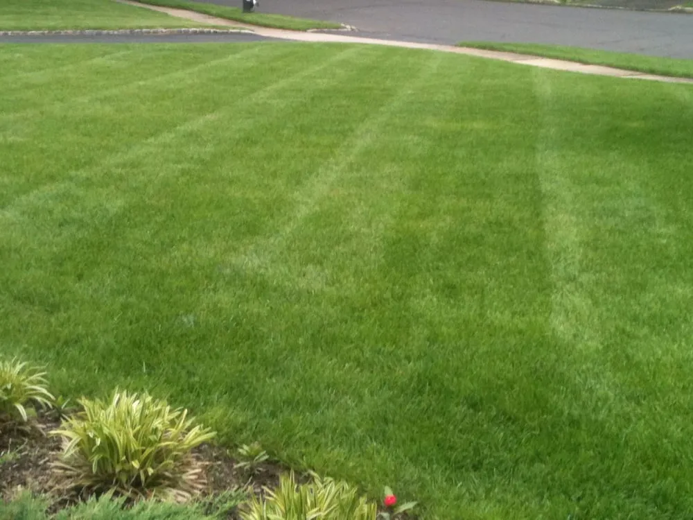 Reliable landscape design near you in Union, NJ by Conti Homescapes