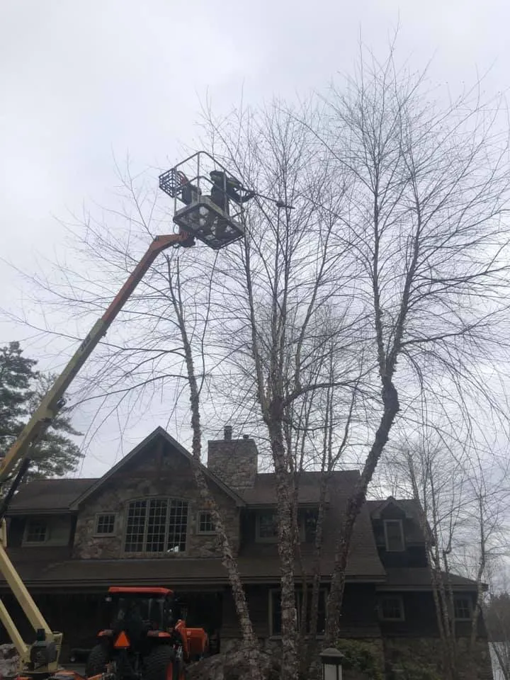 Local landscape design with custom design across Moultonborough, NH - Conti Property Solutions