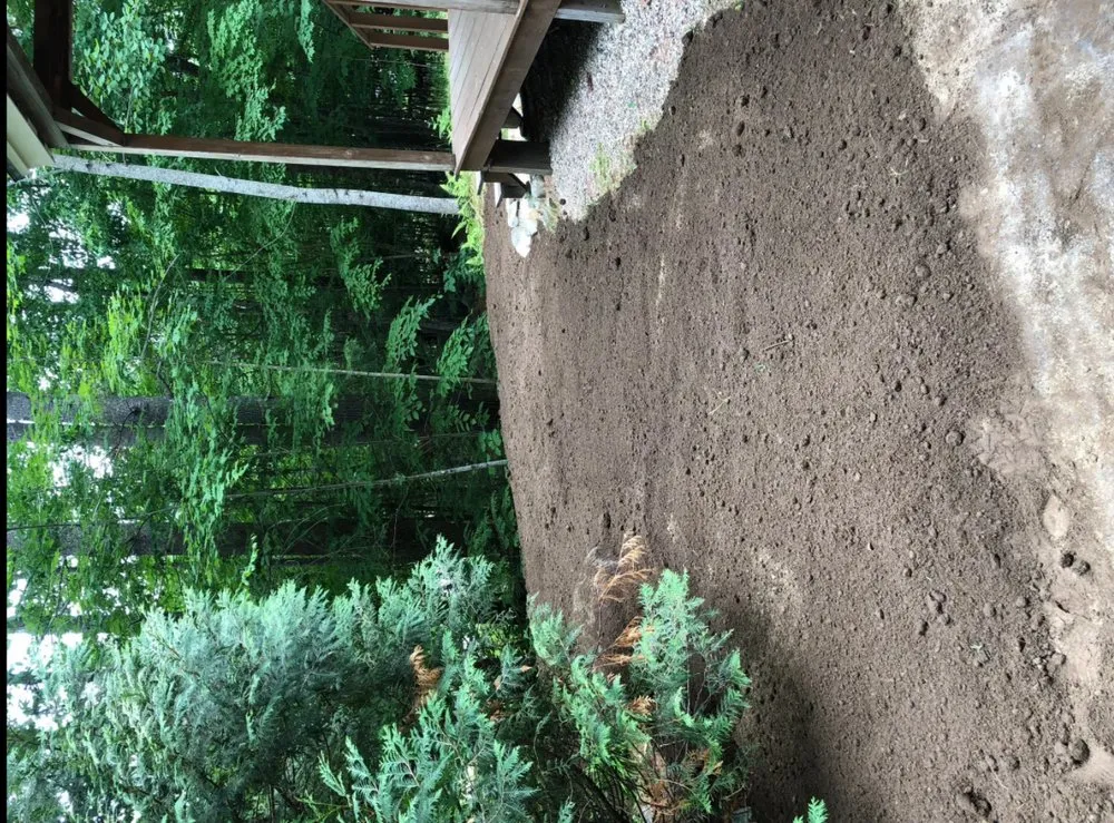 Top-rated yard maintenance for homes across Moultonborough, NH - Conti Property Solutions