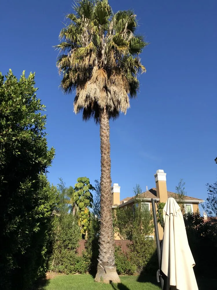 Local garden landscaping for beautiful yards across Missoula, MT - Continental Tree and Land Care