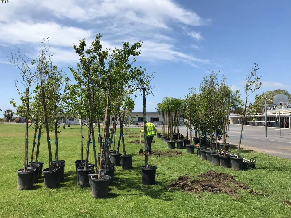 Reliable residential landscaping for beautiful yards across Missoula, MT - Continental Tree and Land Care