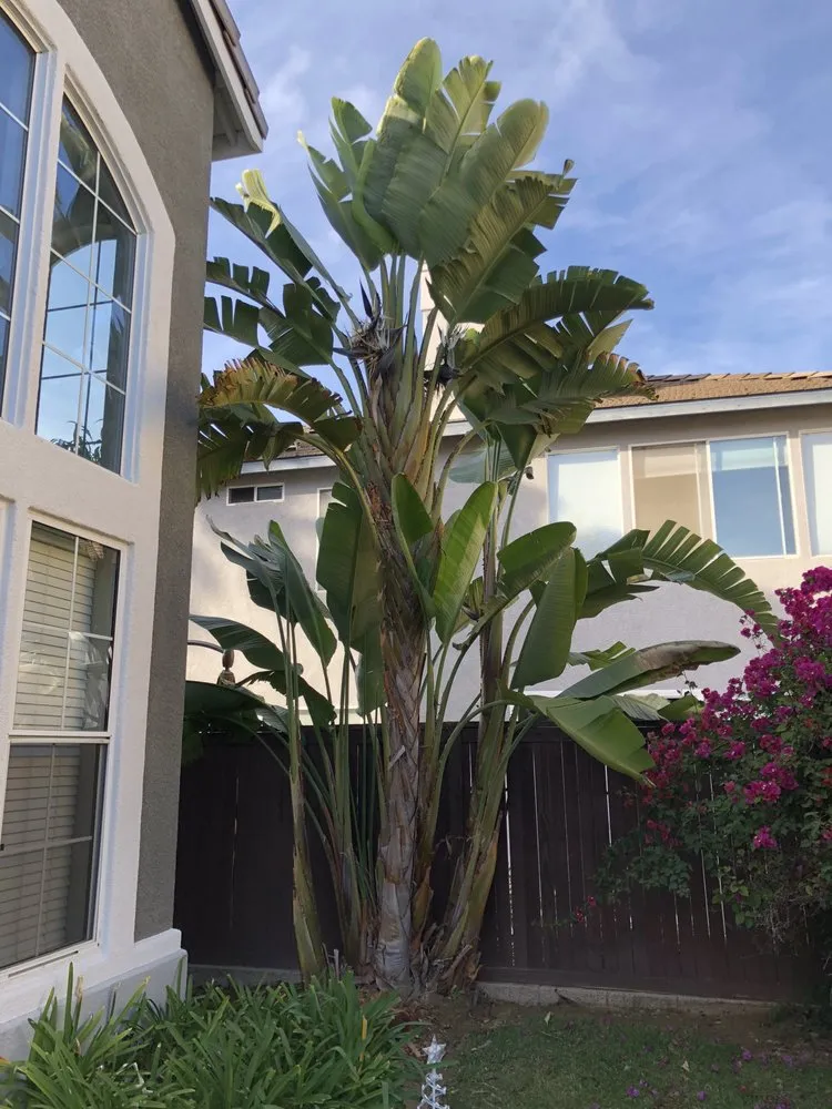 Local yard cleanup service for homes across Missoula, MT - Continental Tree and Land Care