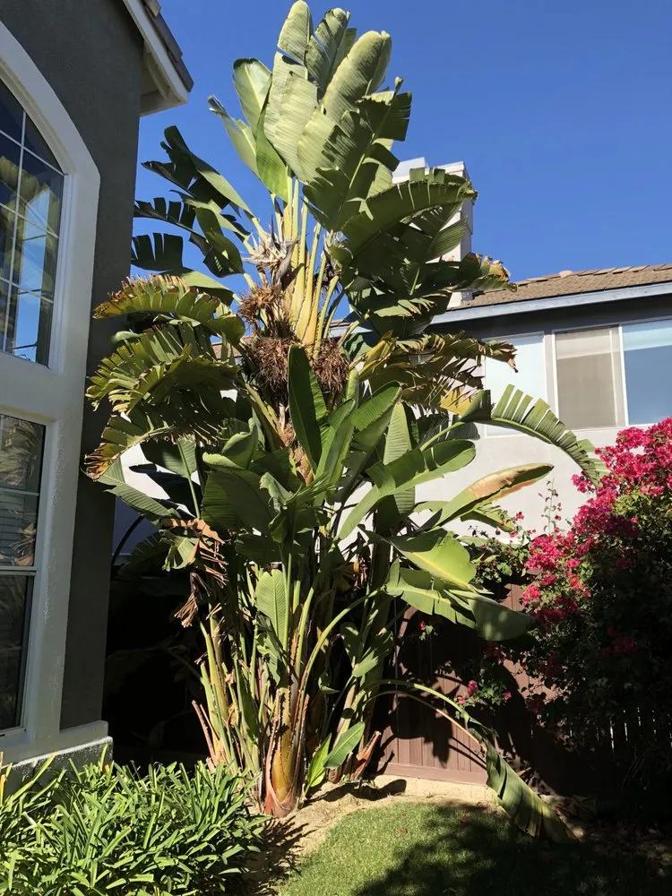 Trusted yard cleanup service for outdoor upgrades across Missoula, MT - Continental Tree and Land Care