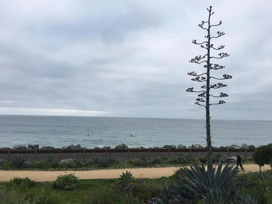 Custom lawn mowing service in Missoula, MT - Continental Tree and Land Care