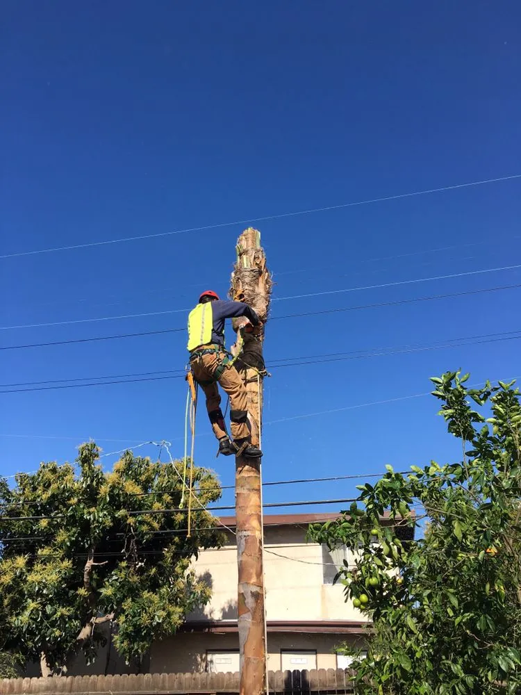 Trusted landscape installation experts serving Missoula, MT - Continental Tree and Land Care