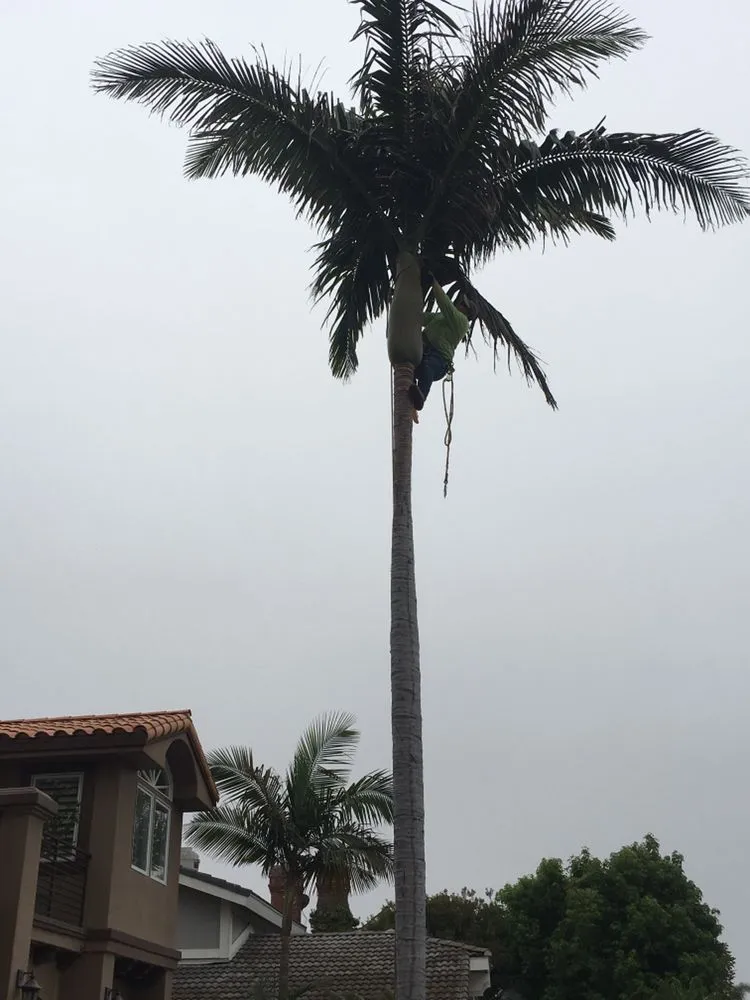 Professional lawn care service in Missoula, MT by Continental Tree and Land Care