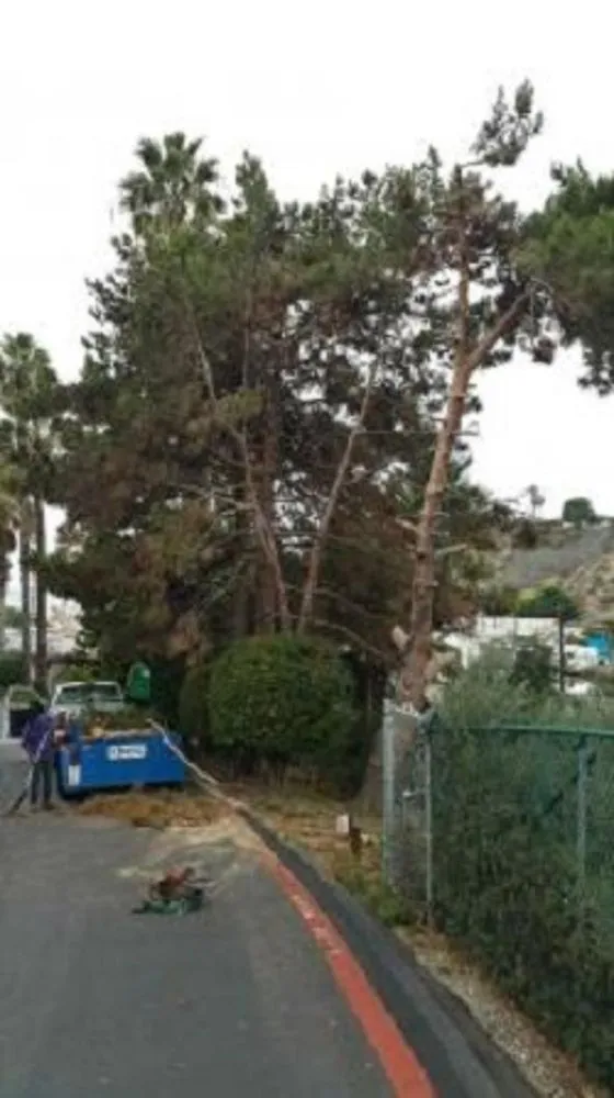 Local landscape installation in Missoula, MT by Continental Tree and Land Care