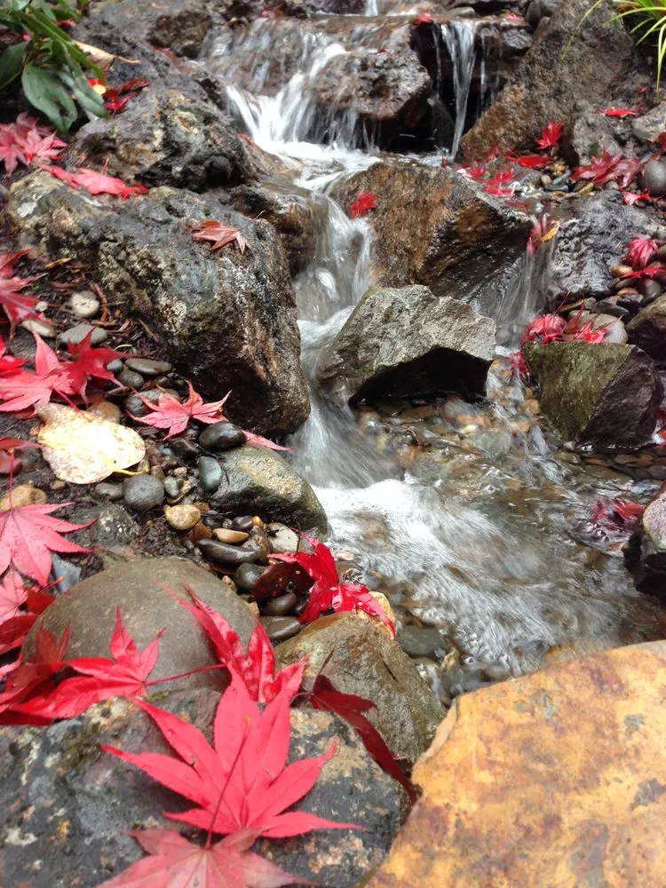 Affordable outdoor landscaping experts serving Battle Ground, WA - Continuum Landscape and Design