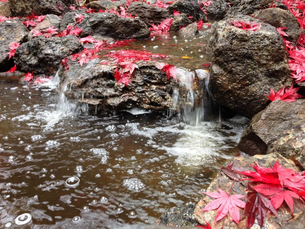 Expert garden landscaping experts serving Battle Ground, WA - Continuum Landscape and Design