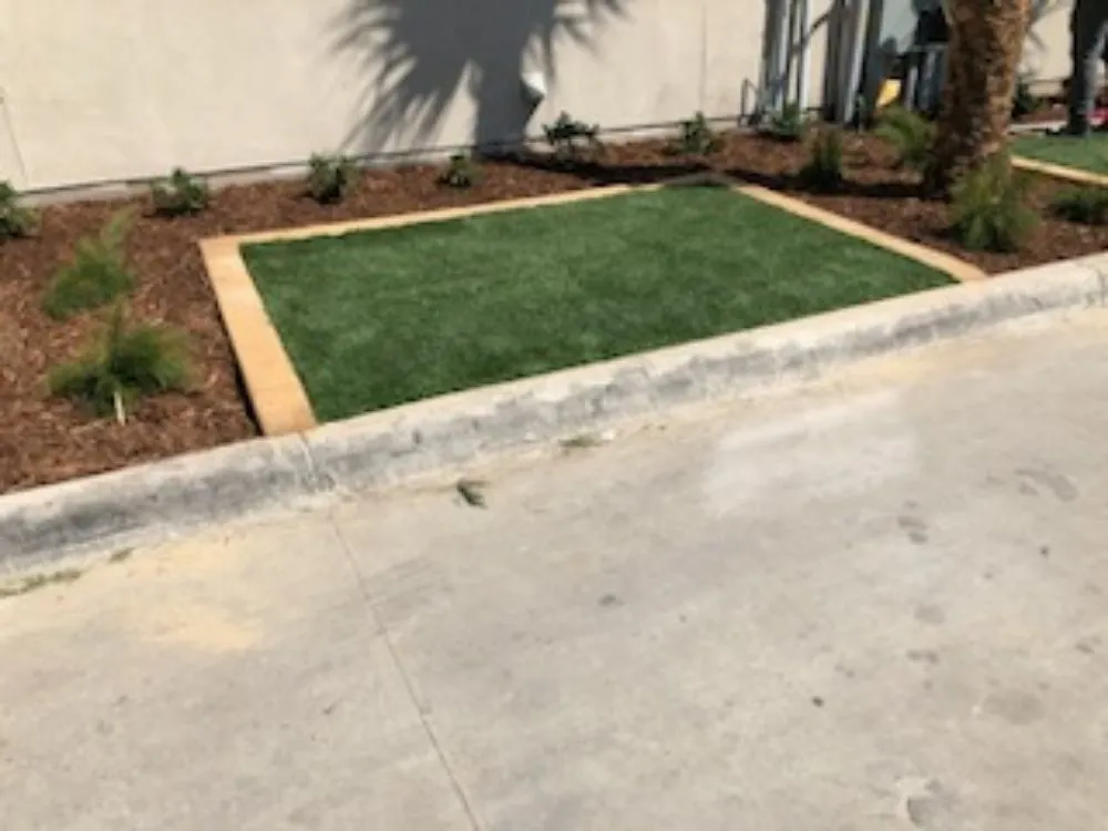 Custom landscaping services experts serving McAllen, TX - Contour Curbs