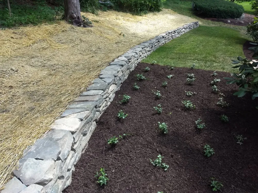 Reliable yard cleanup service for residential properties in Schenectady, NY by Contour Landscaping