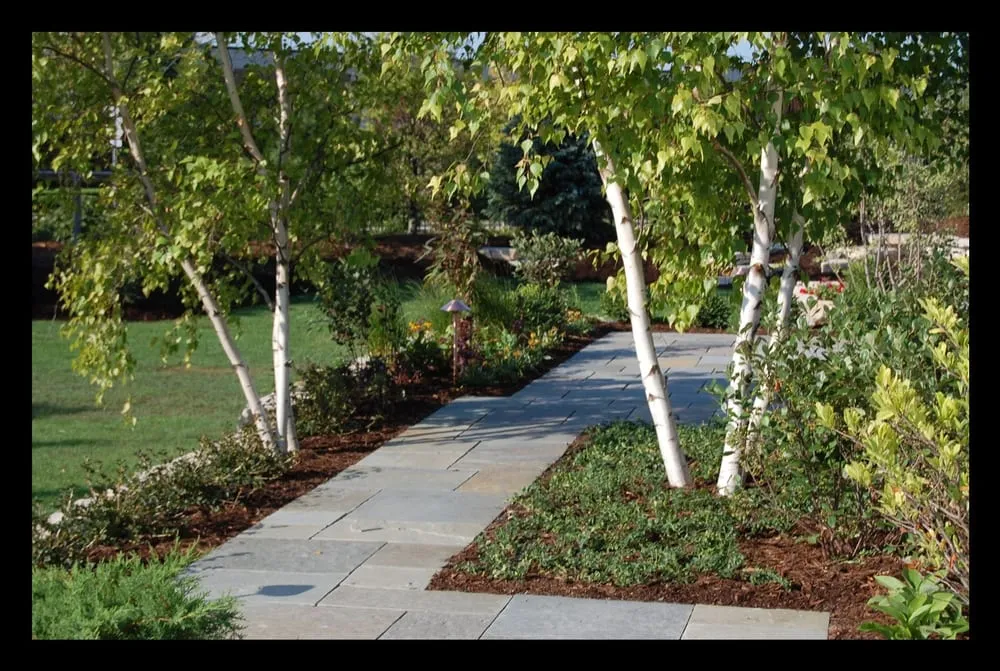 Expert yard maintenance in Skokie, IL - Contour Landscaping