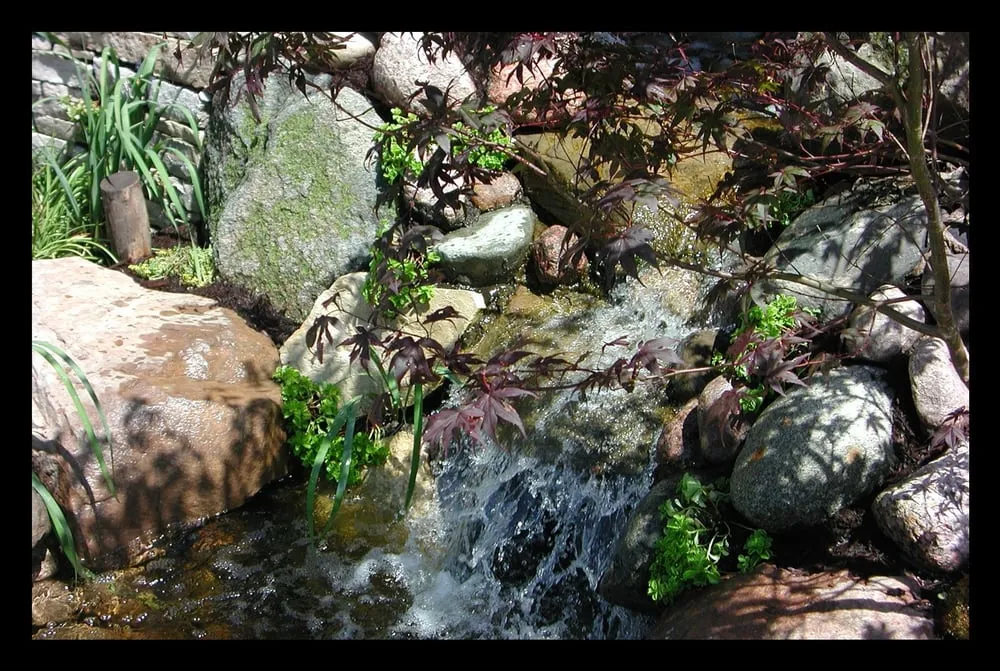 Local yard maintenance for beautiful yards in Skokie, IL by Contour Landscaping