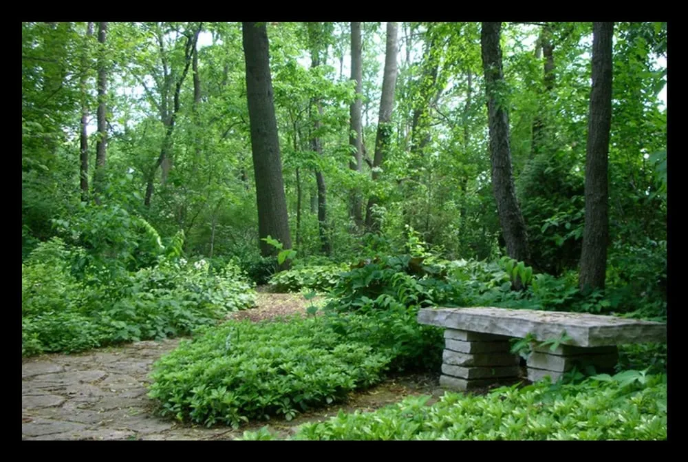 Trusted yard cleanup service near you across Skokie, IL - Contour Landscaping