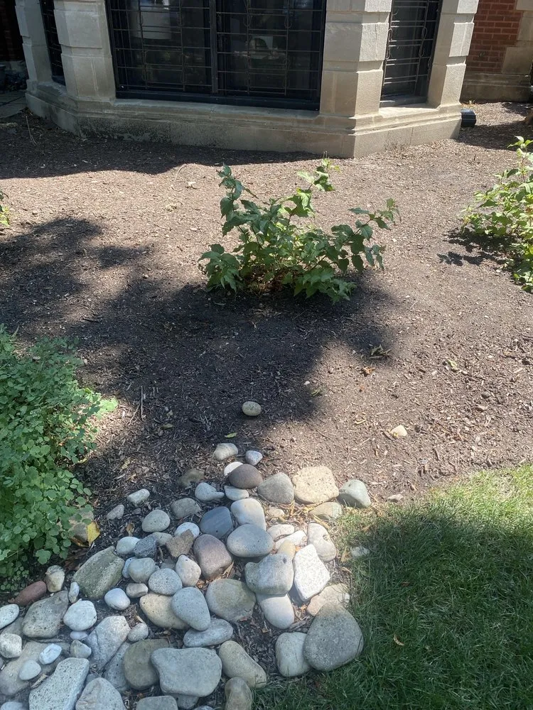 Professional landscape installation for year-round maintenance in Skokie, IL by Contour Landscaping