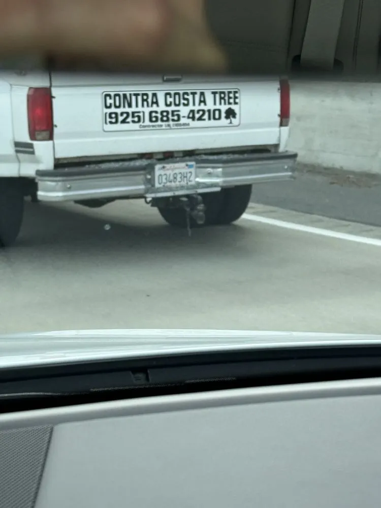 Local yard maintenance for homes across Antioch, CA - Contra Costa Tree & Landscaping