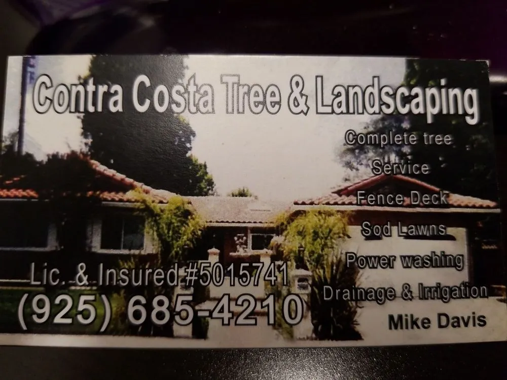Professional residential landscaping in Antioch, CA by Contra Costa Tree & Landscaping