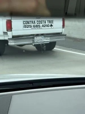 Contra Costa Tree & Landscaping Logo