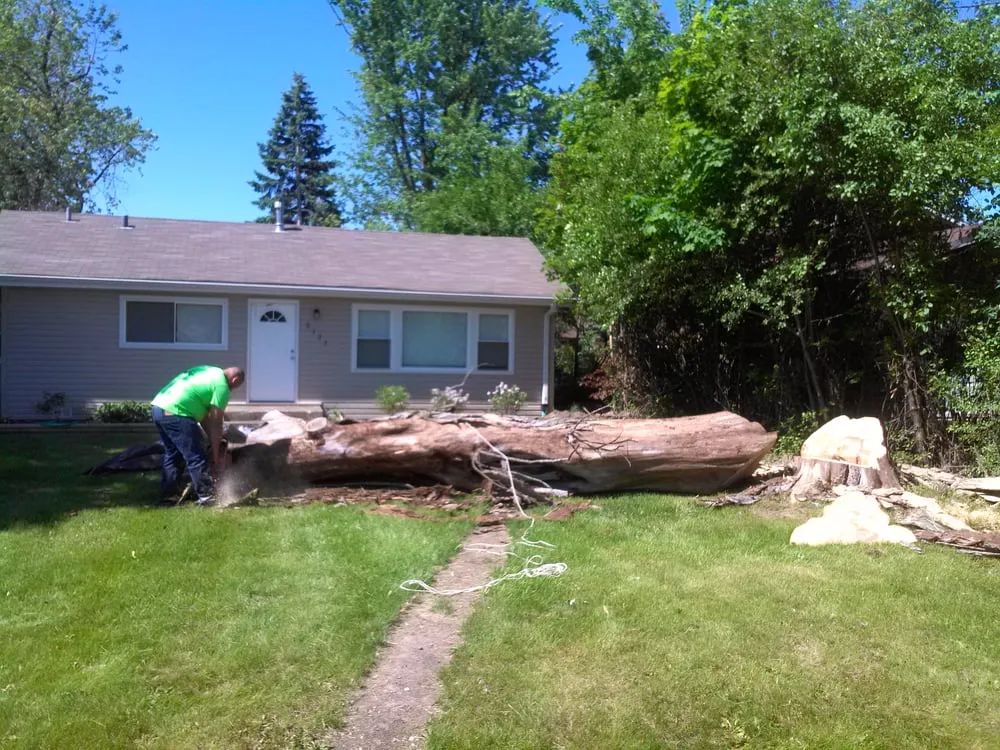 Trusted outdoor landscaping in Lake Villa, IL - Contracted Service