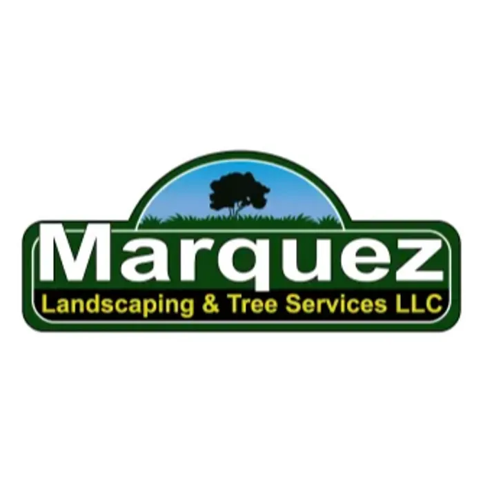 Trusted yard maintenance experts serving Pittstown, NJ - Contracting Solutions
