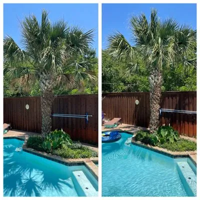 Contreras Landscape & Tree Service