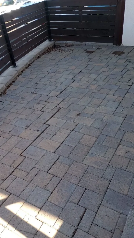 Local yard cleanup service in El Cajon, CA - Contreras Landscape