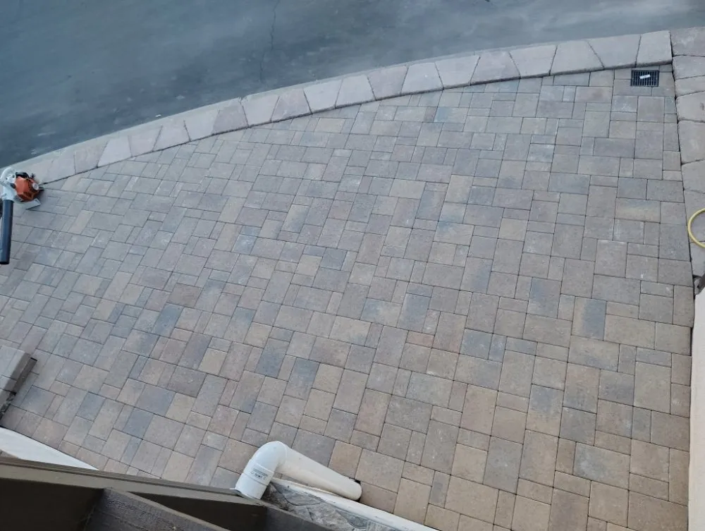 Affordable lawn care service for year-round maintenance across El Cajon, CA - Contreras Landscape