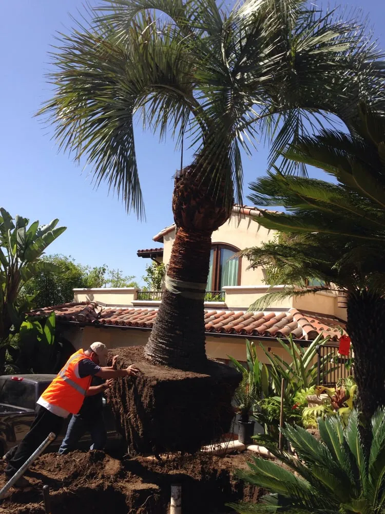 Reliable residential landscaping in Los Angeles, CA - Contreras Landscape