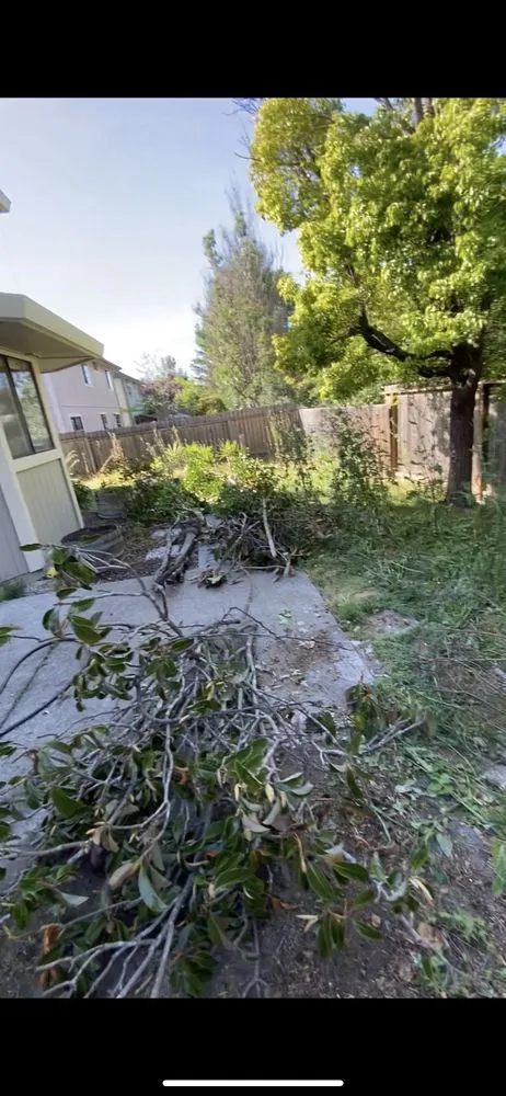 Affordable outdoor landscaping in Rohnert Park, CA by Contreras Landscape