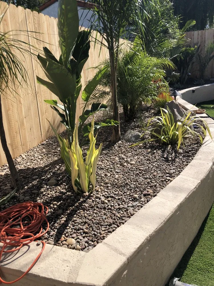 Trusted lawn care service for residential properties across Thousand Oaks, CA - Contreras Landscaping and Tree Service