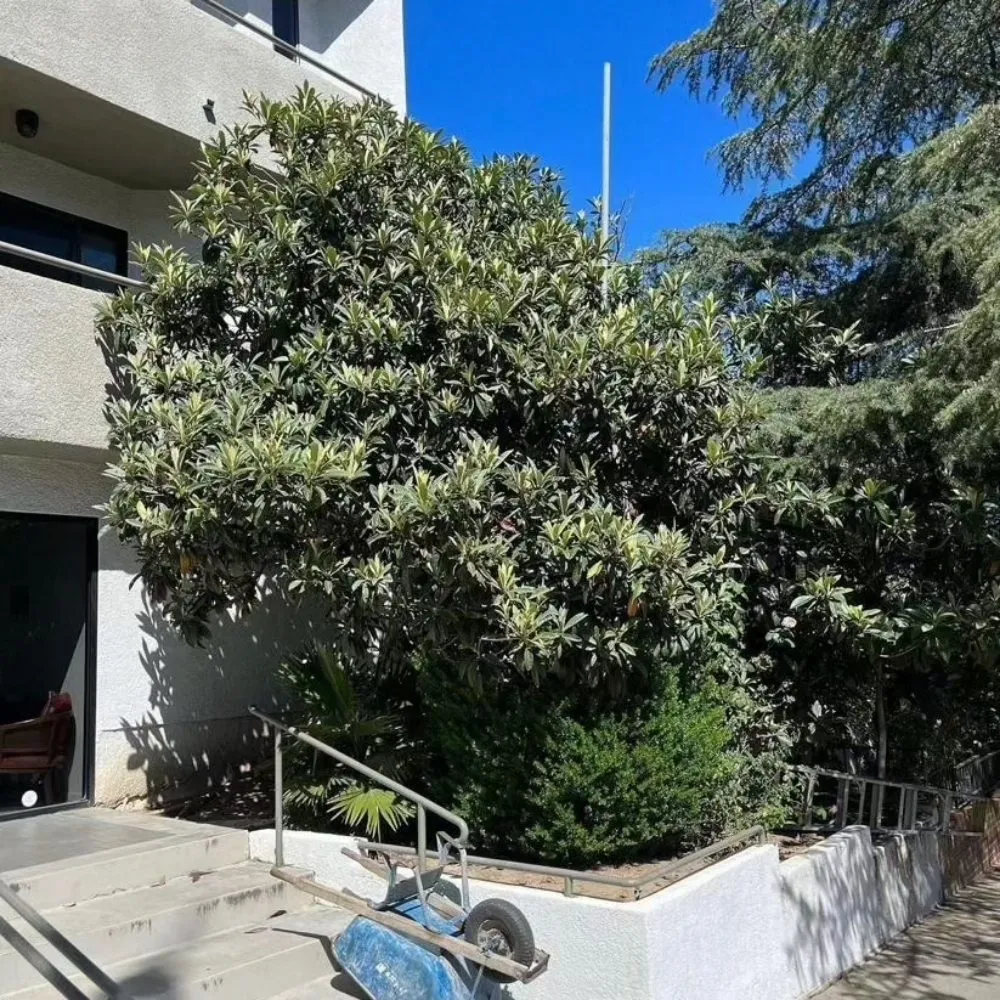 Reliable landscape installation near you in Corona, CA by Contreras Landscaping