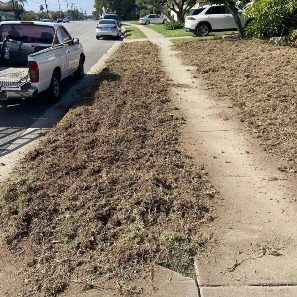 Local residential landscaping with custom design across Corona, CA - Contreras Landscaping