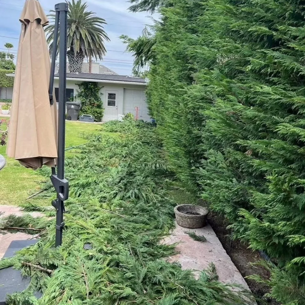 Top-rated garden landscaping in Corona, CA by Contreras Landscaping