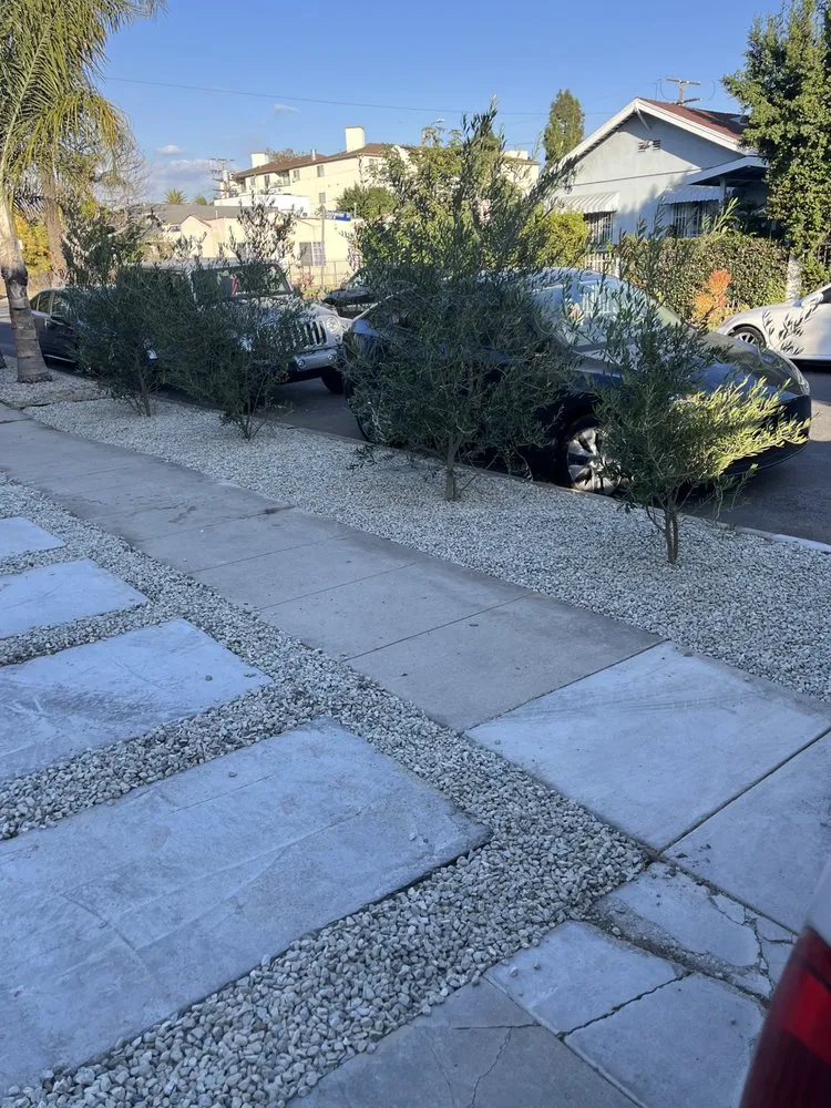 Top-rated lawn mowing service with custom design in Corona, CA by Contreras Landscaping