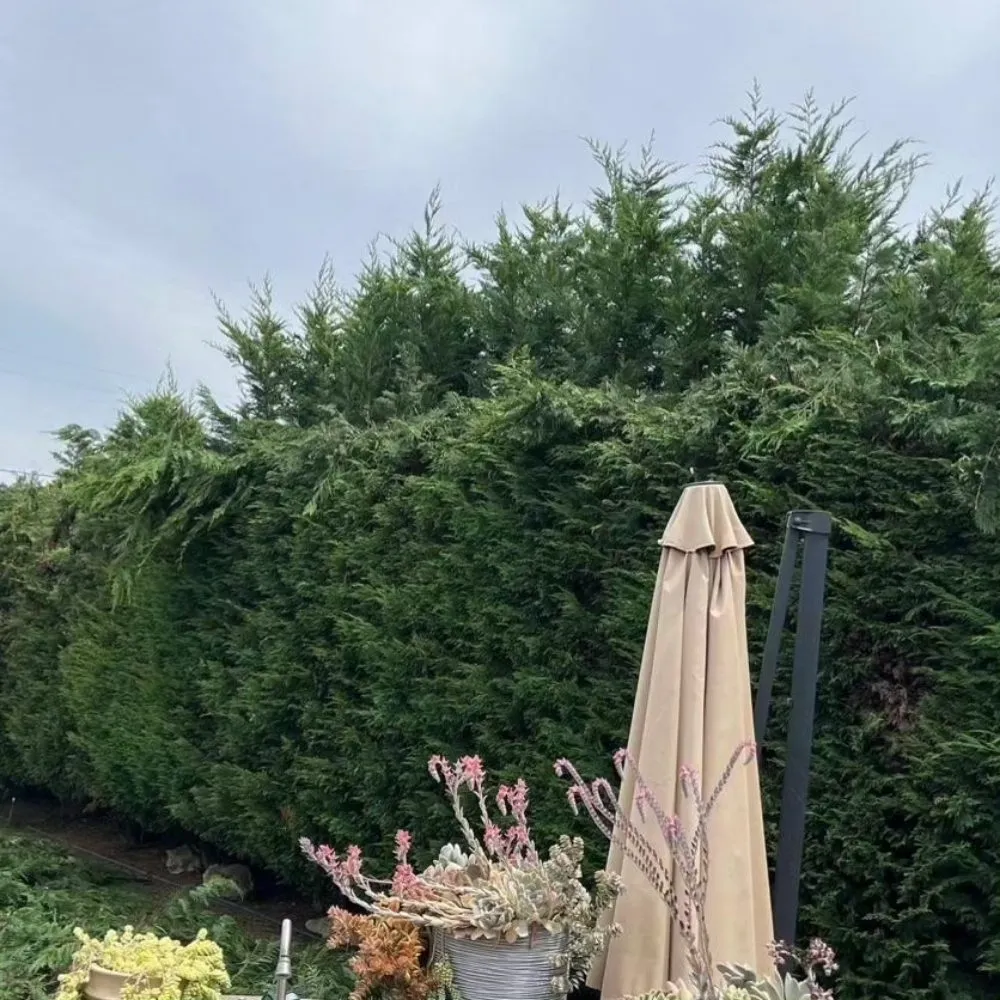 Custom landscape design experts serving Corona, CA - Contreras Landscaping