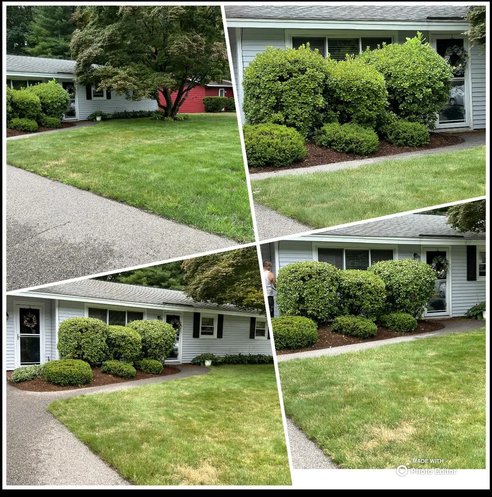 Local yard cleanup service for beautiful yards across Framingham, MA - Contreras Landscaping