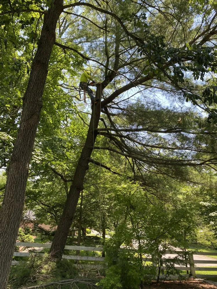 Expert residential landscaping in Lexington, KY - Contreras Landscaping