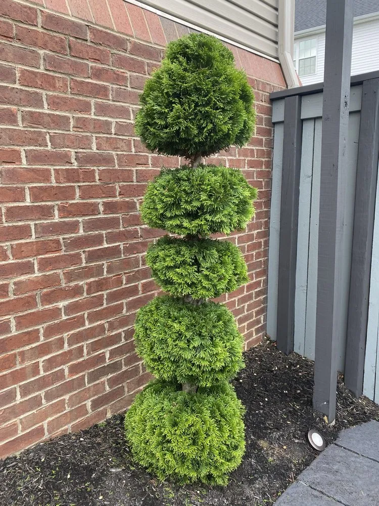 Affordable lawn care service for year-round maintenance in Lexington, KY by Contreras Landscaping