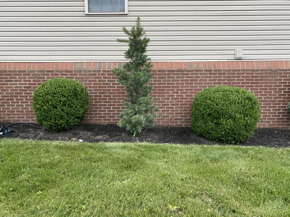 Expert lawn mowing service experts serving Lexington, KY - Contreras Landscaping