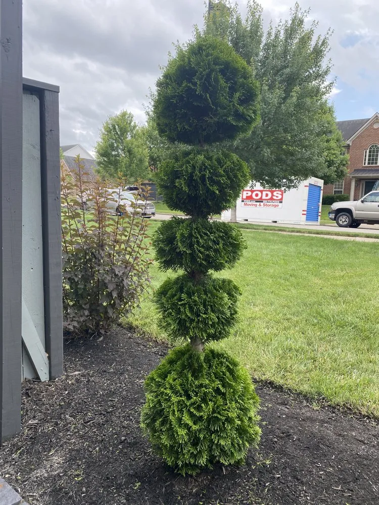 Custom landscape design for outdoor upgrades across Lexington, KY - Contreras Landscaping